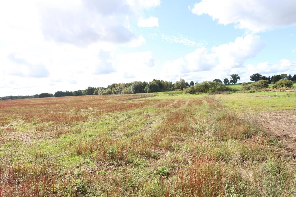 Działka na sprzedaż Dębice 1 699 m2 | Arka Nieruchomości