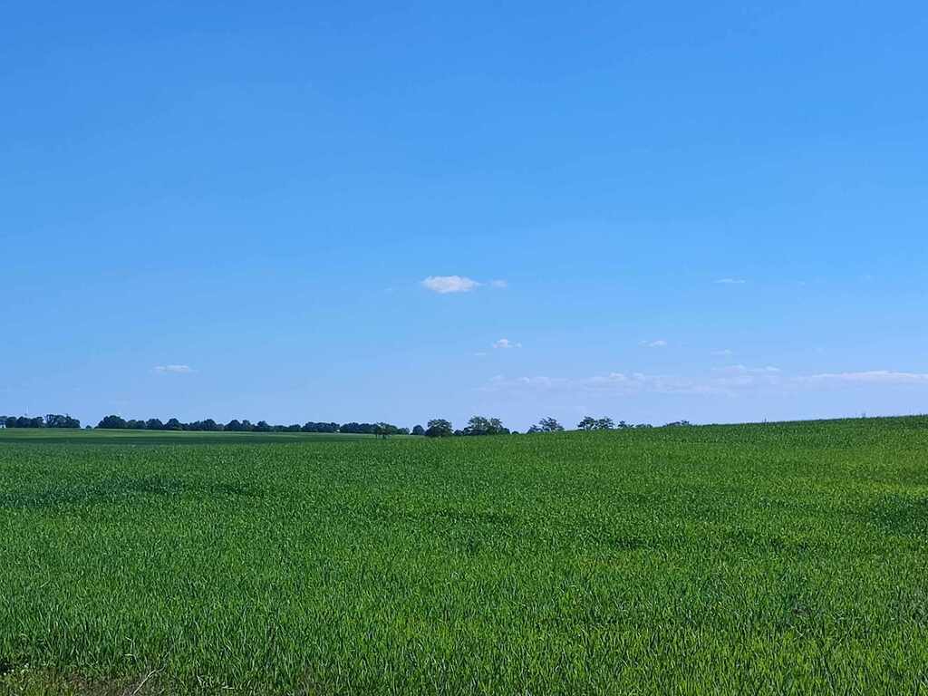 Działka na sprzedaż Grabowo 1 477 m2 | Arka Nieruchomości