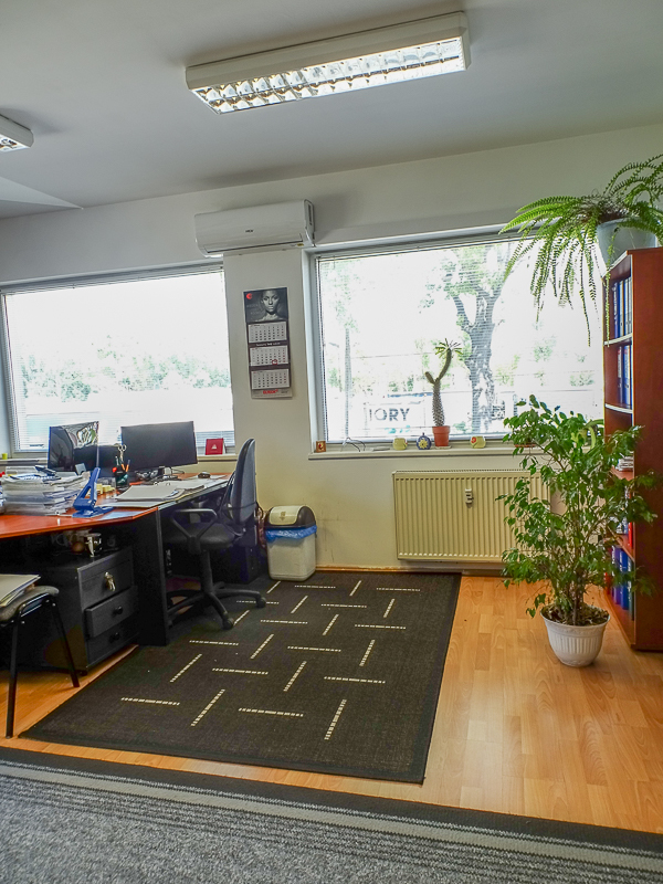 Lokal na wynajem Szczecin, Płonia 112 m2 | Arka Nieruchomości