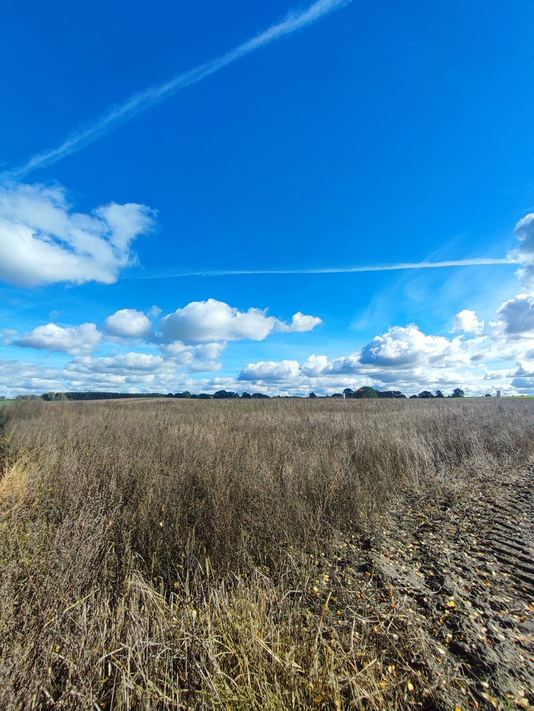 Działka na sprzedaż Grabowo 1 477 m2 | Arka Nieruchomości