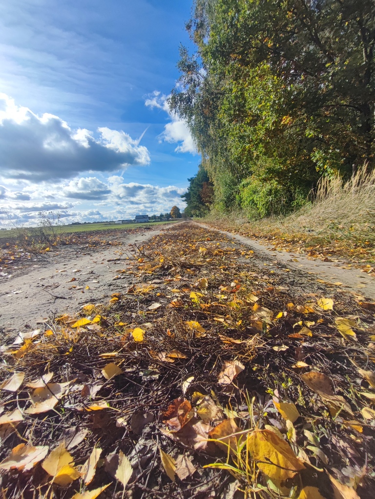 Działka na sprzedaż Grabowo 1 477 m2 | Arka Nieruchomości
