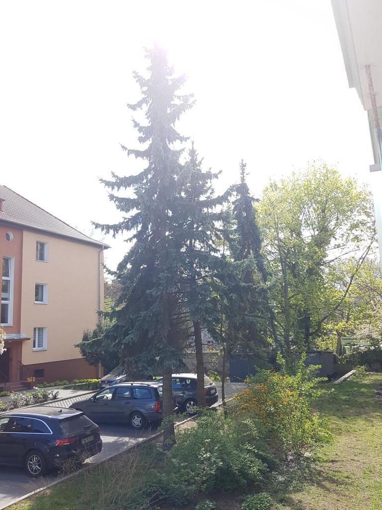 Mieszkanie na sprzedaż Szczecin, Jasne Błonia 65 m2 | Arka Nieruchomości