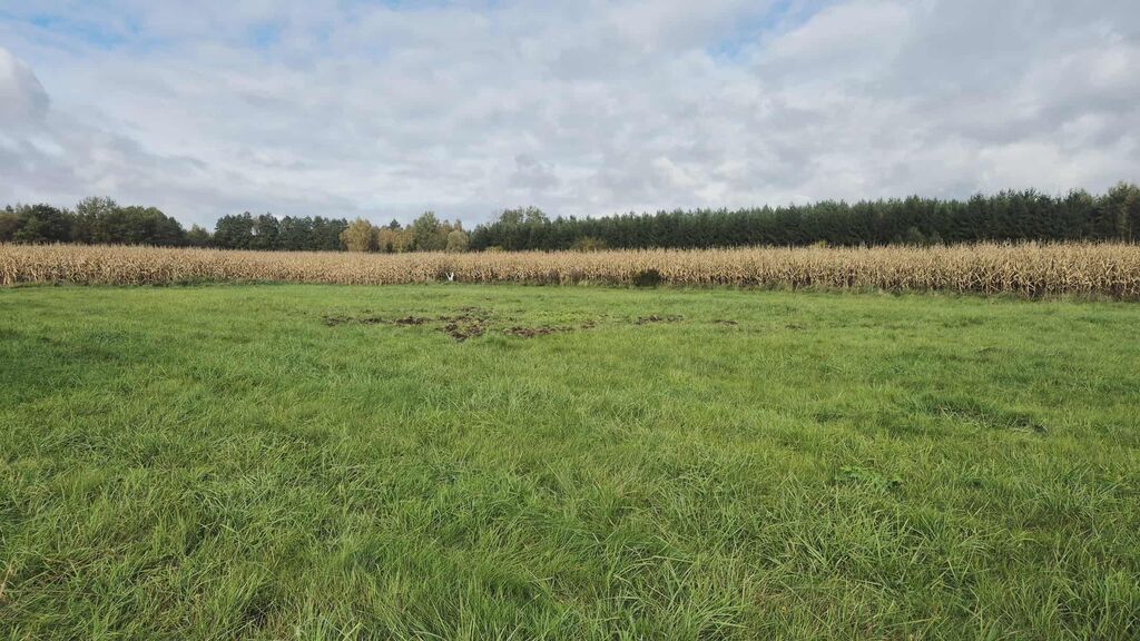 Działka na sprzedaż Tatynia 3 000 m2 | Arka Nieruchomości