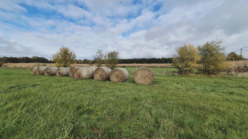 Działka na sprzedaż Tatynia 3 000 m2 | Arka Nieruchomości