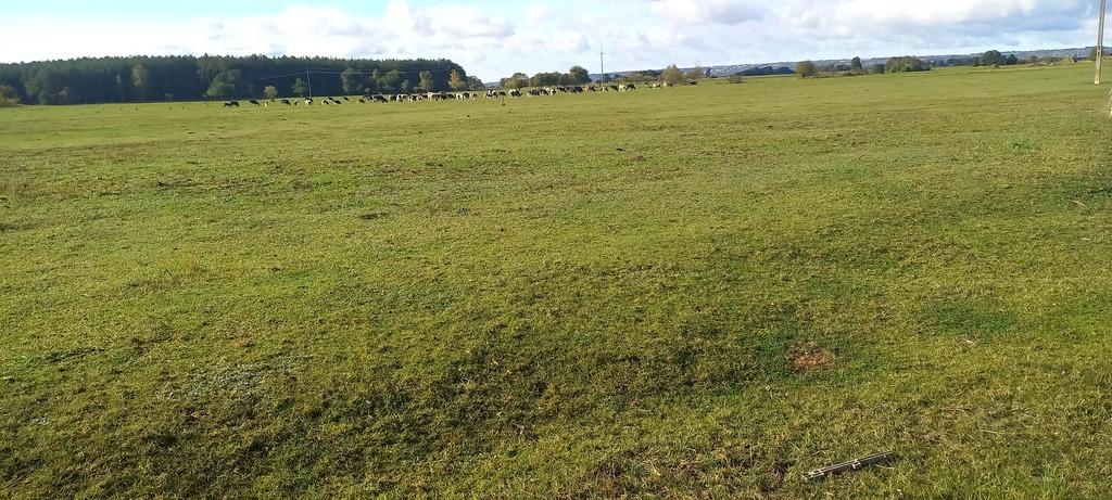 Działka na sprzedaż Borzysławiec 1 947 m2 | Arka Nieruchomości