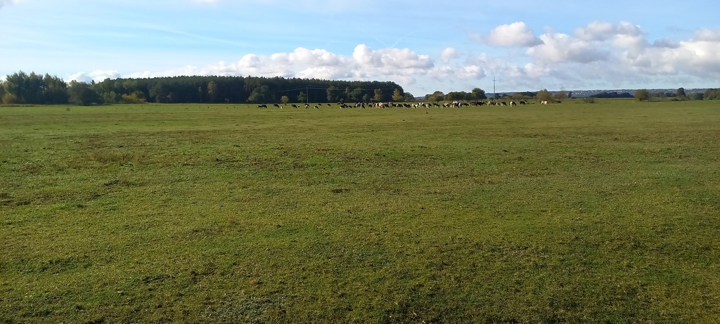 Działka na sprzedaż Borzysławiec 1 947 m2 | Arka Nieruchomości
