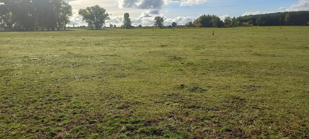 Działka na sprzedaż Borzysławiec 1 947 m2 | Arka Nieruchomości