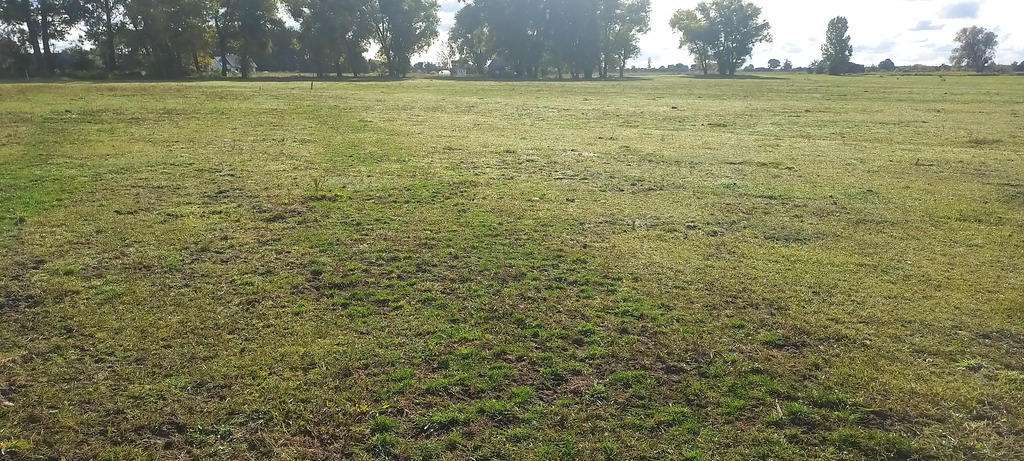 Działka na sprzedaż Borzysławiec 1 947 m2 | Arka Nieruchomości