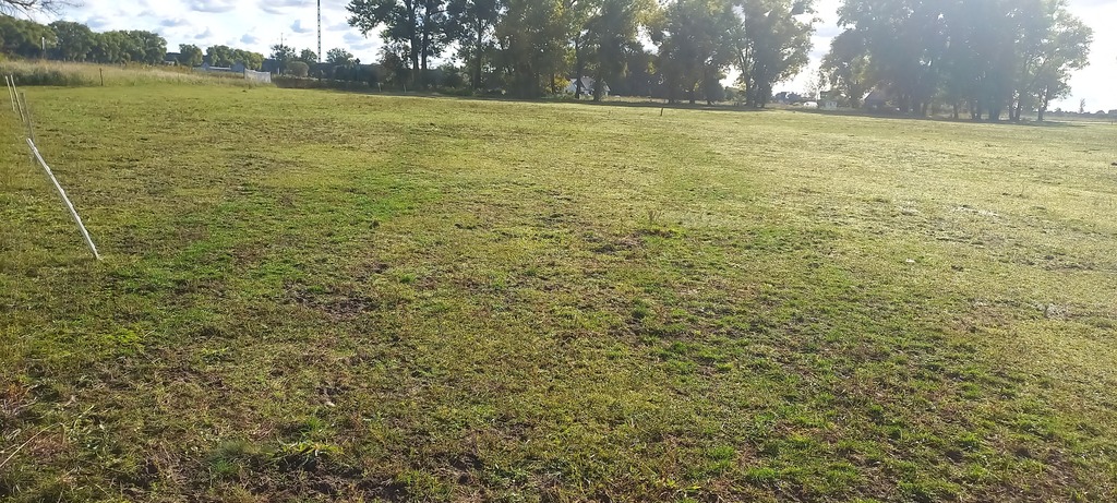 Działka na sprzedaż Borzysławiec 1 947 m2 | Arka Nieruchomości