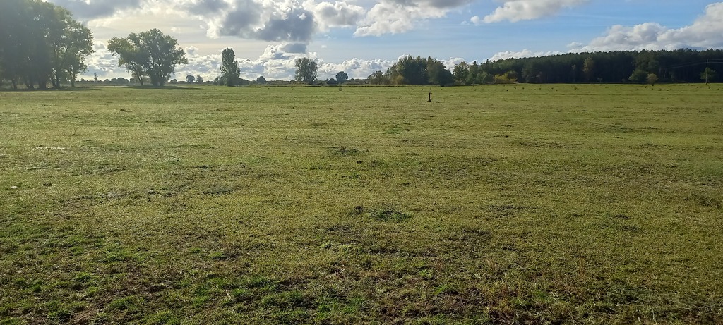 Działka na sprzedaż Borzysławiec 1 947 m2 | Arka Nieruchomości