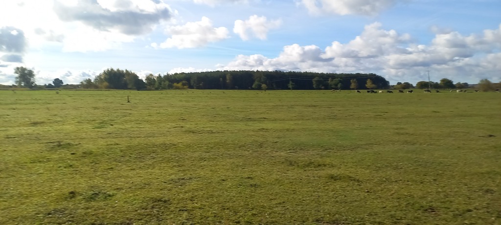 Działka na sprzedaż Borzysławiec 1 947 m2 | Arka Nieruchomości