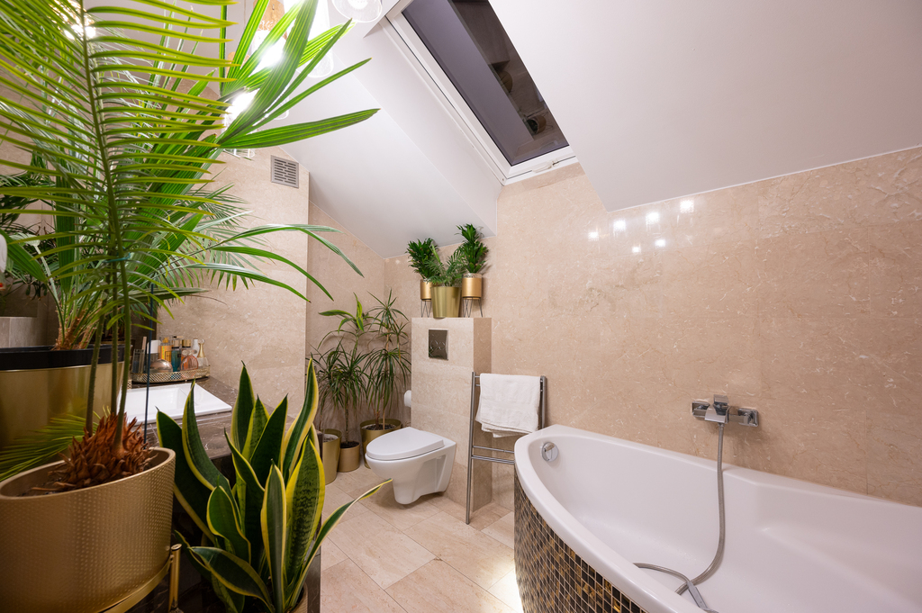 Zdjęcie nieruchomości