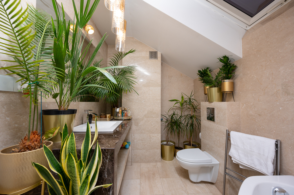 Zdjęcie nieruchomości