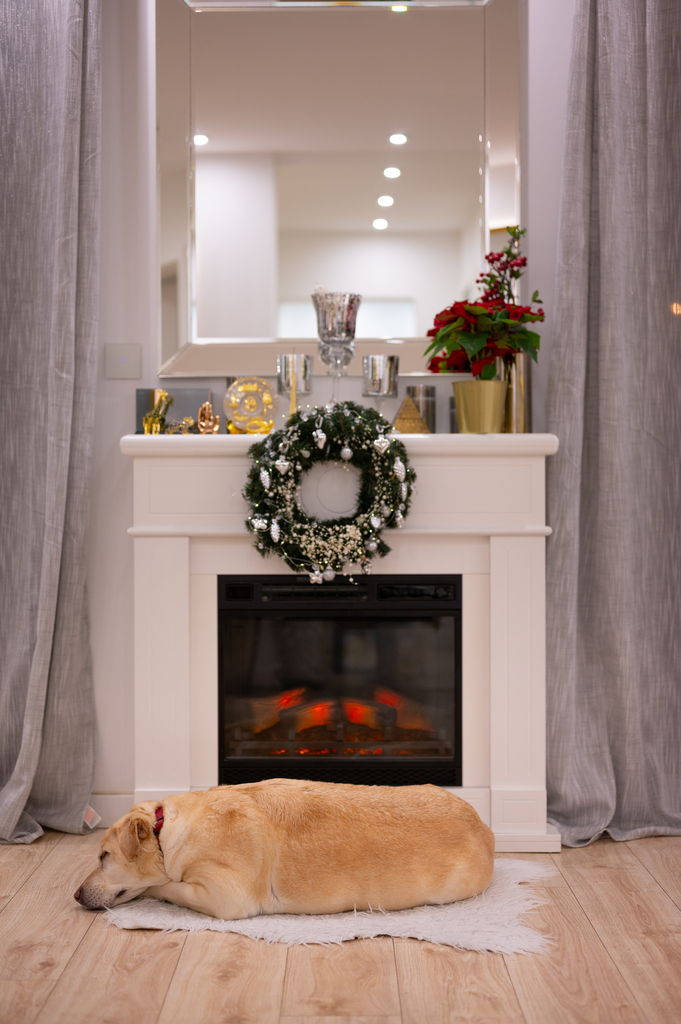 Zdjęcie nieruchomości