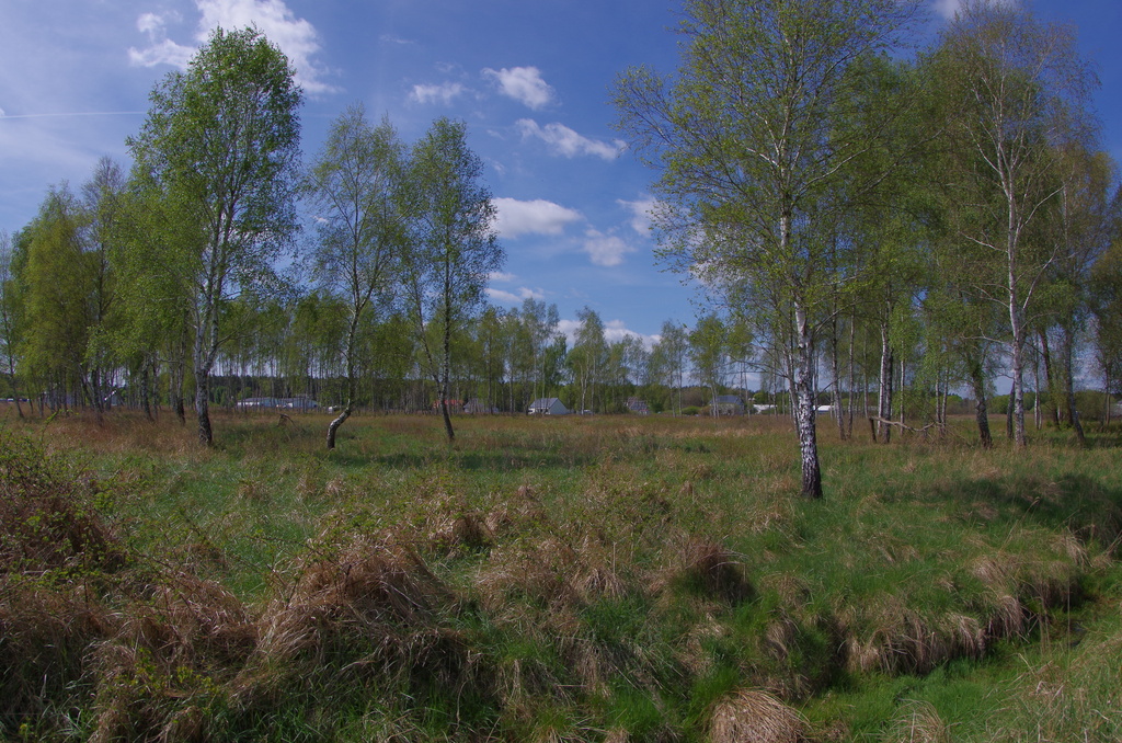 Działka na sprzedaż Niedźwiedź 2 103 m2 | Arka Nieruchomości