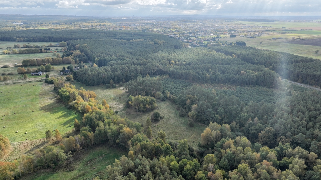 Działka na sprzedaż Dobra 965 m2 | Arka Nieruchomości