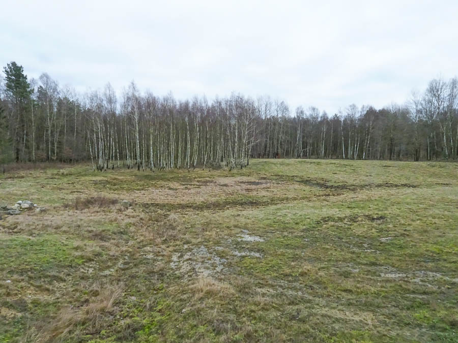 Dom na sprzedaż Ostrowice 306 m2 | Arka Nieruchomości