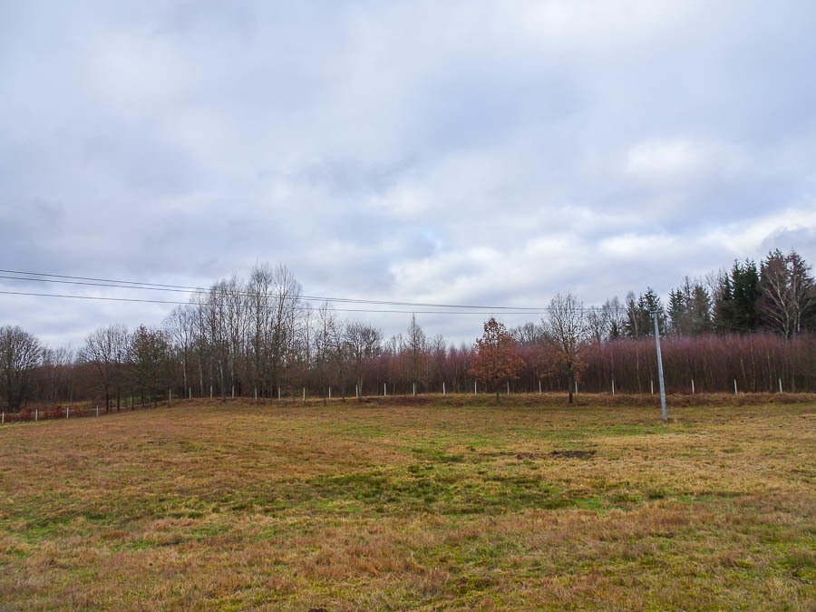 Dom na sprzedaż Ostrowice 306 m2 | Arka Nieruchomości