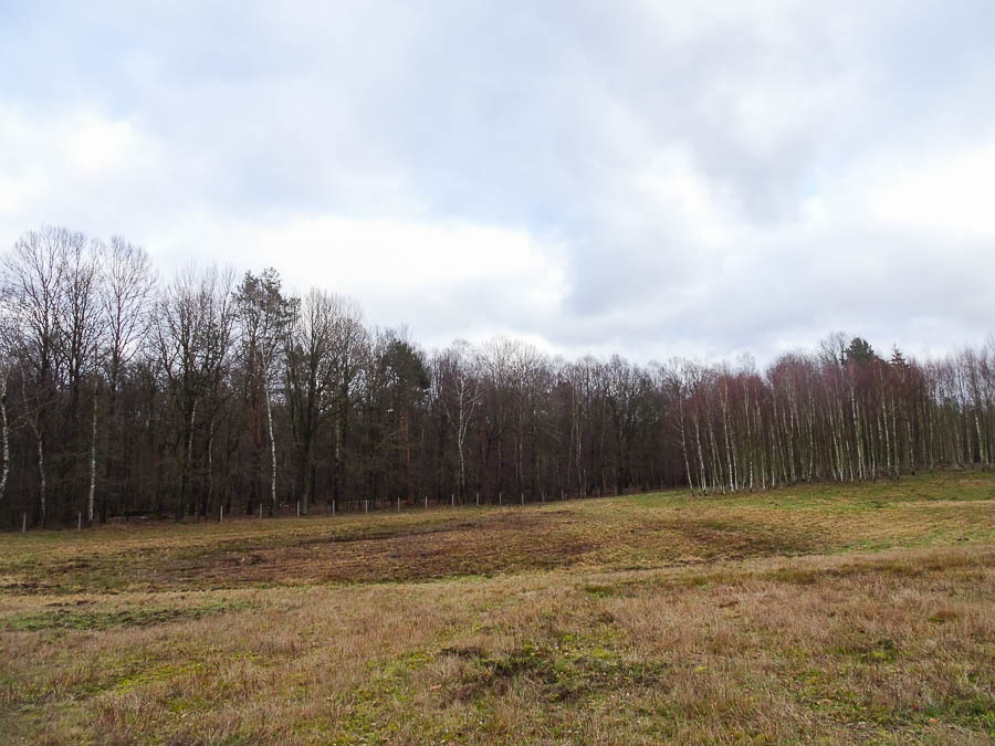 Dom na sprzedaż Ostrowice 306 m2 | Arka Nieruchomości