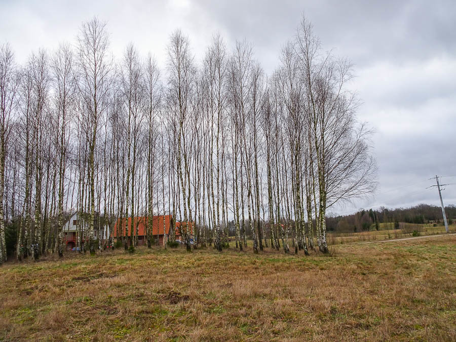 Dom na sprzedaż Ostrowice 306 m2 | Arka Nieruchomości