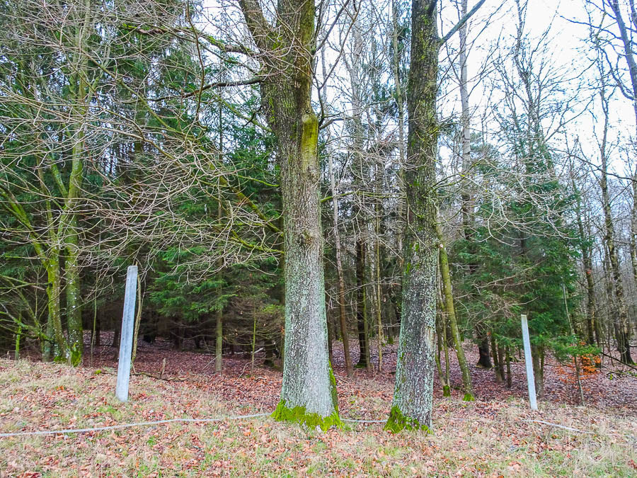 Dom na sprzedaż Ostrowice 306 m2 | Arka Nieruchomości