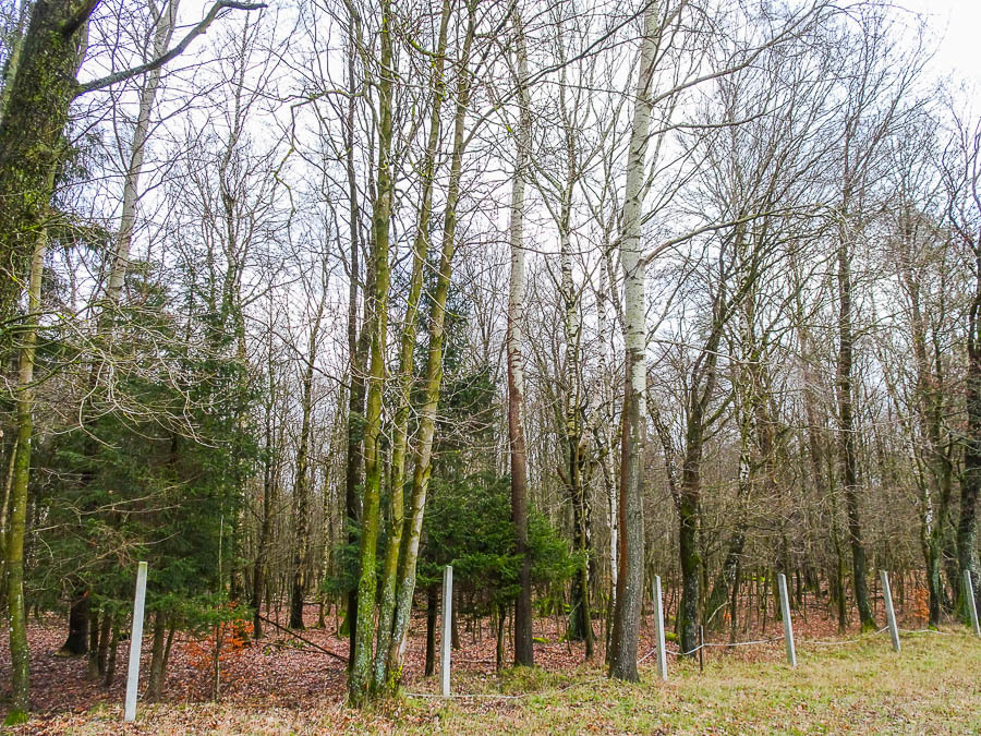 Dom na sprzedaż Ostrowice 306 m2 | Arka Nieruchomości