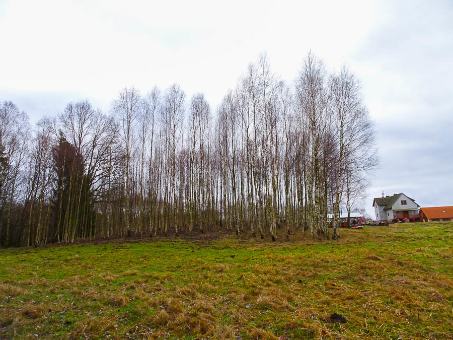 Dom na sprzedaż Ostrowice 306 m2 | Arka Nieruchomości