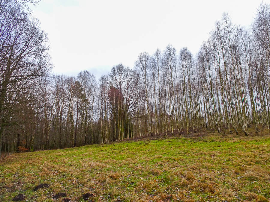 Dom na sprzedaż Ostrowice 306 m2 | Arka Nieruchomości