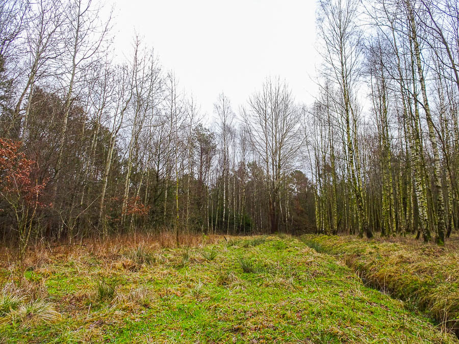 Dom na sprzedaż Ostrowice 306 m2 | Arka Nieruchomości