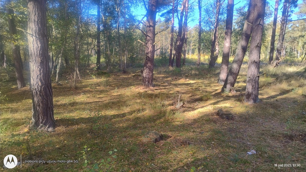 Działka na sprzedaż Dziwnów 1 248 m2 | Arka Nieruchomości