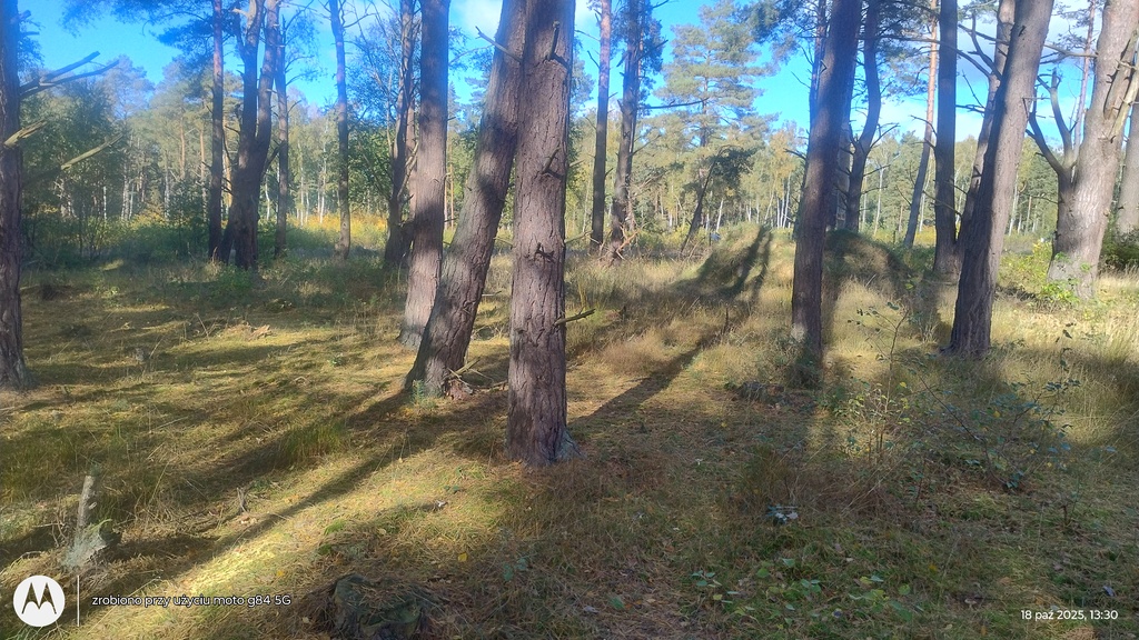 Działka na sprzedaż Dziwnów 1 248 m2 | Arka Nieruchomości