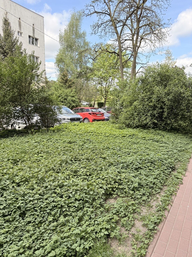 Mieszkanie na sprzedaż Szczecin, Centrum 45 m2 | Arka Nieruchomości