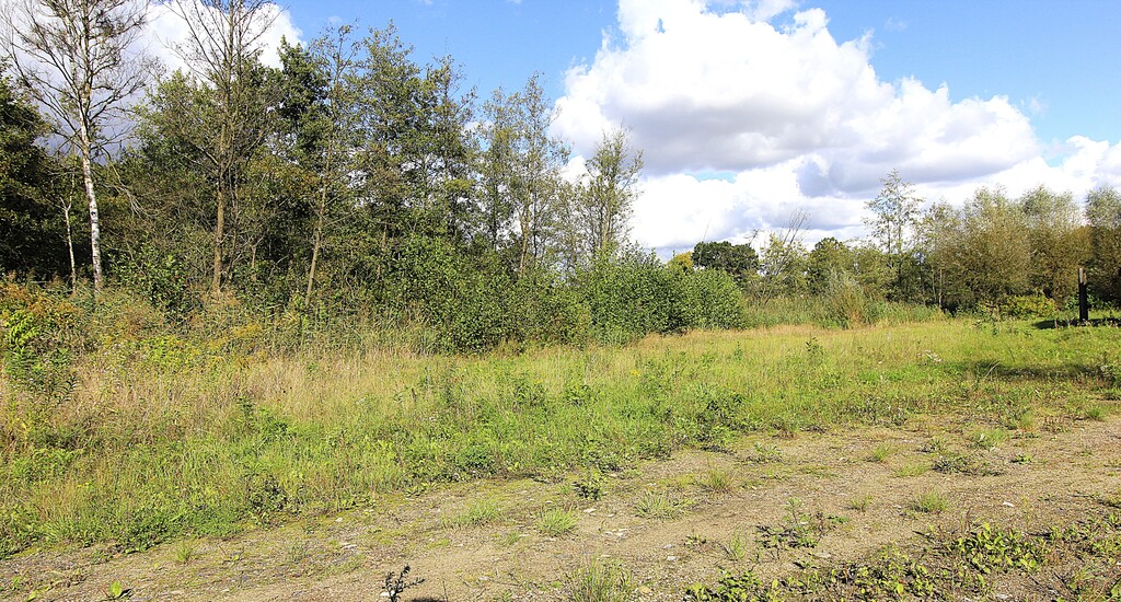 Działka na sprzedaż Choszczno 3 012 m2 | Arka Nieruchomości