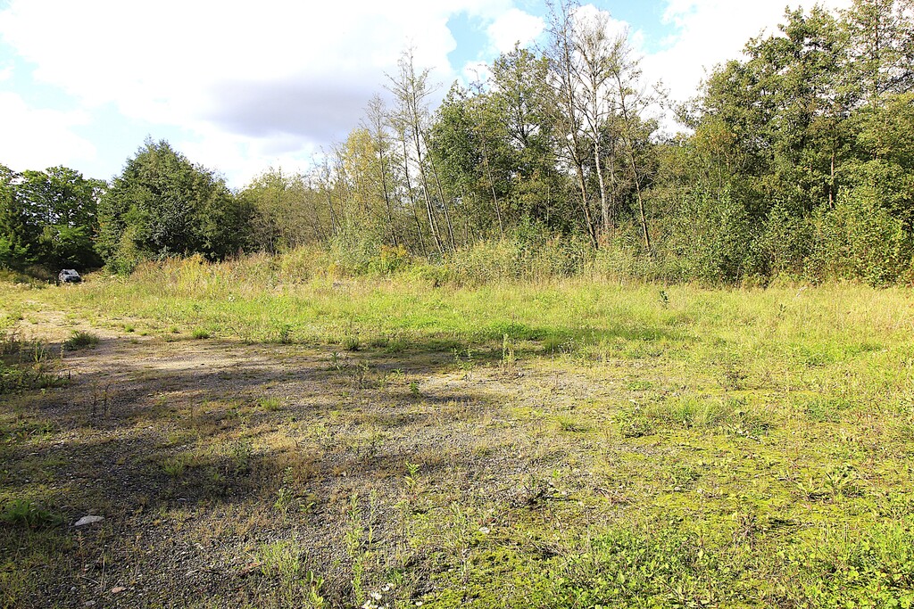 Działka na sprzedaż Choszczno 3 012 m2 | Arka Nieruchomości