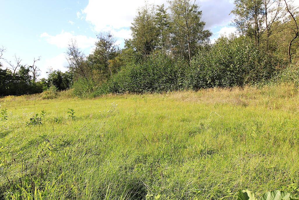 Działka na sprzedaż Choszczno 3 012 m2 | Arka Nieruchomości