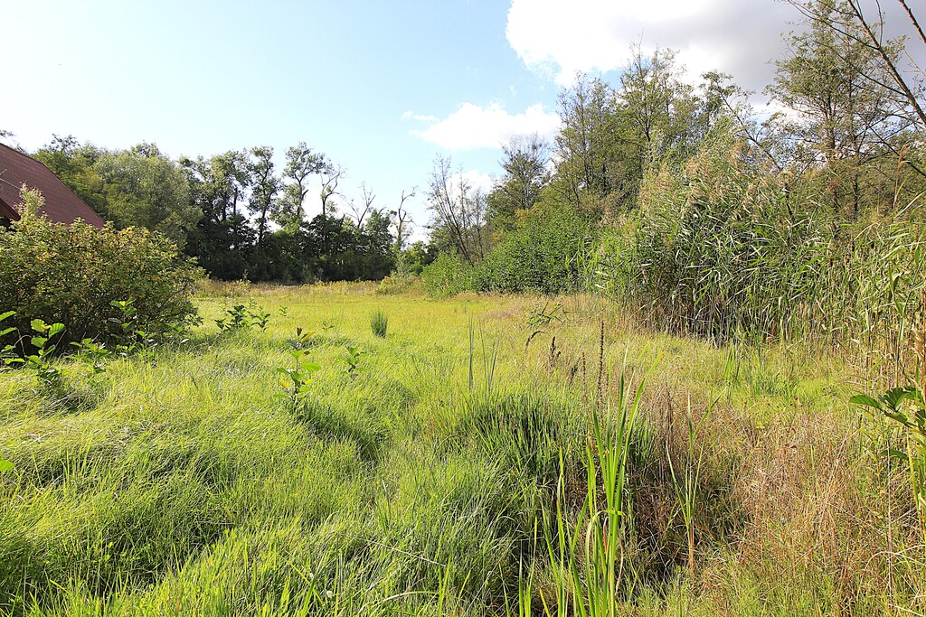 Działka na sprzedaż Choszczno 3 012 m2 | Arka Nieruchomości