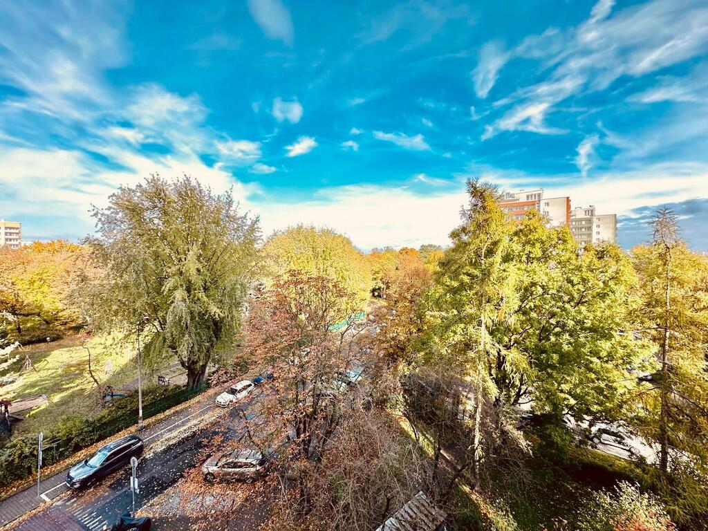 Zdjęcie nieruchomości