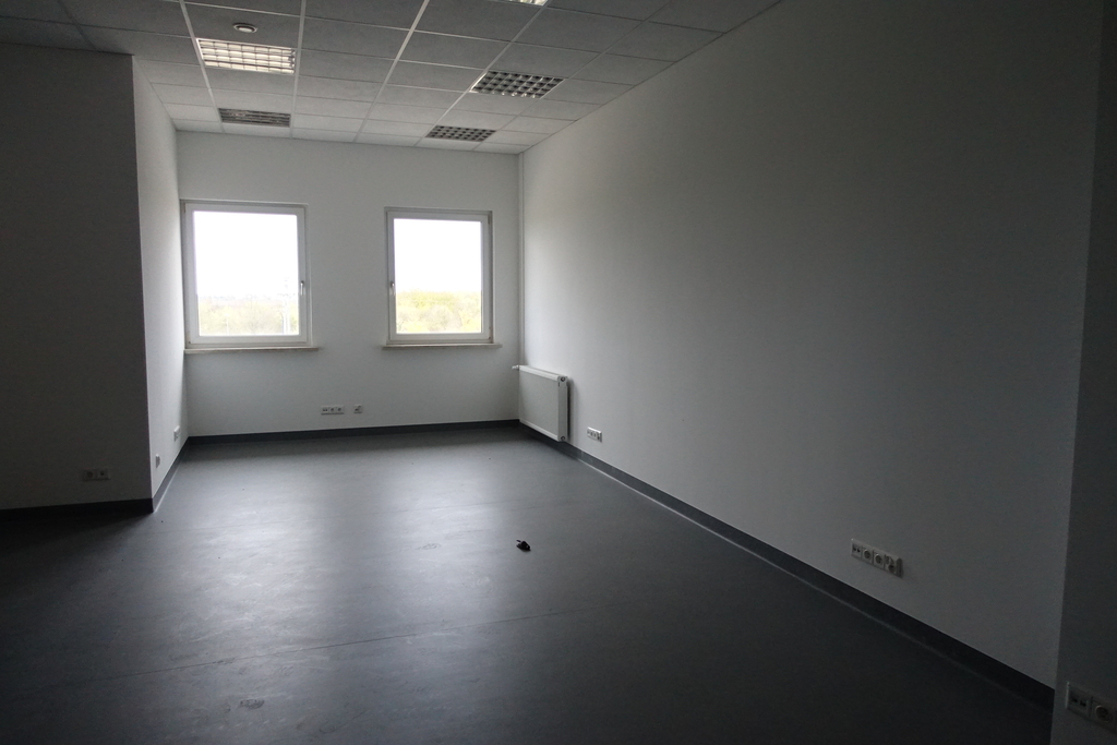 Obiekt na wynajem Kołbaskowo 2 278 m2 | Arka Nieruchomości