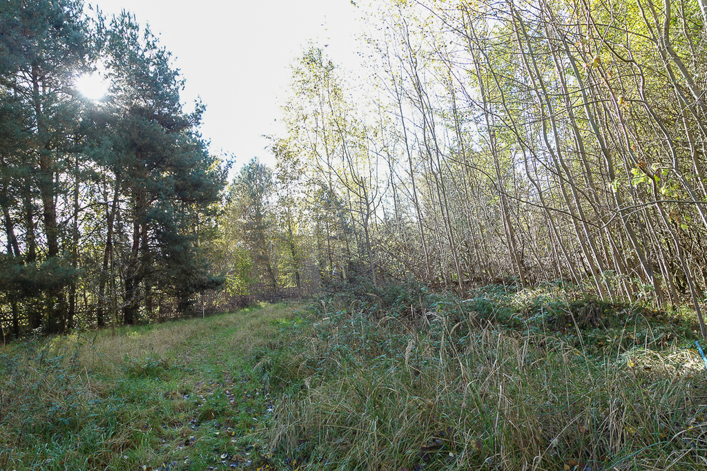 Działka na sprzedaż Grzepnica 3 069 m2 | Arka Nieruchomości