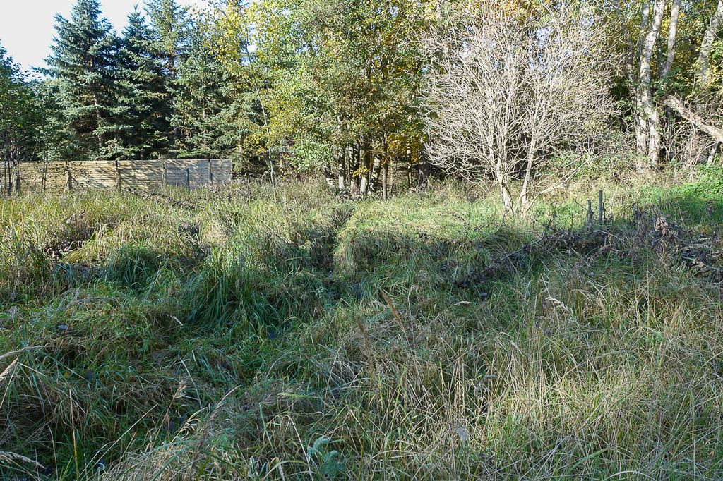 Działka na sprzedaż Grzepnica 3 069 m2 | Arka Nieruchomości