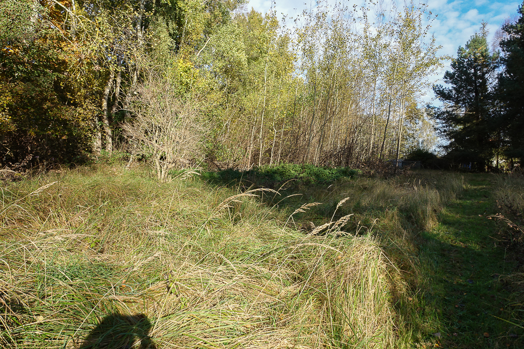 Działka na sprzedaż Grzepnica 3 069 m2 | Arka Nieruchomości