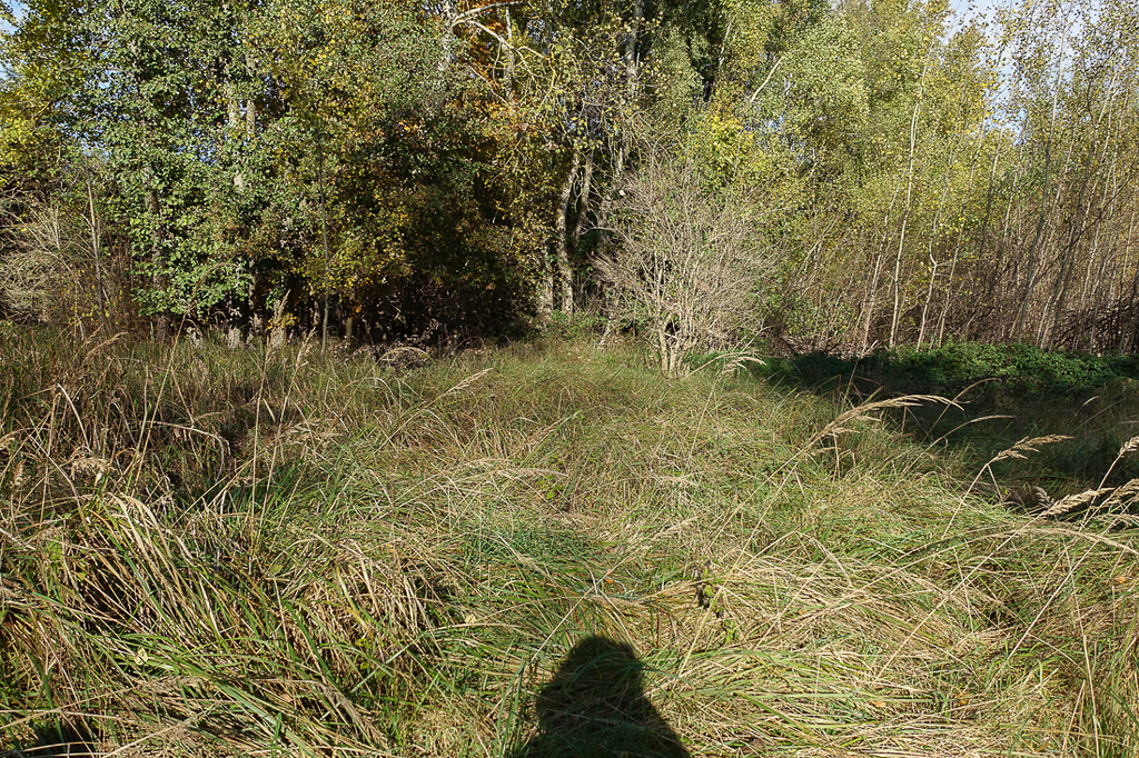 Działka na sprzedaż Grzepnica 3 069 m2 | Arka Nieruchomości