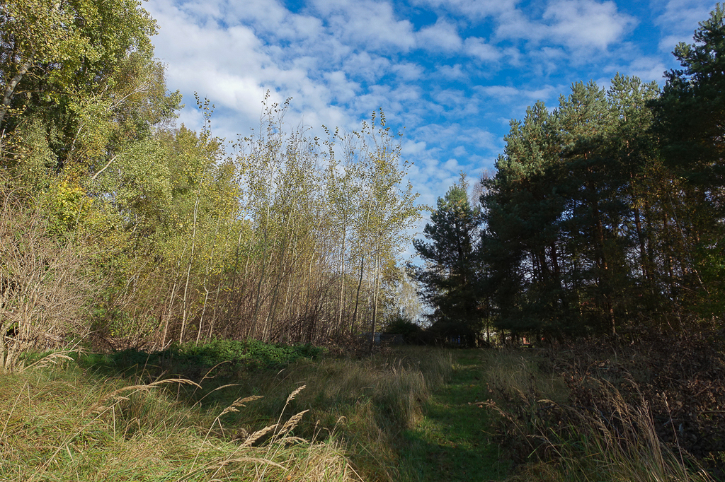 Działka na sprzedaż Grzepnica 3 069 m2 | Arka Nieruchomości
