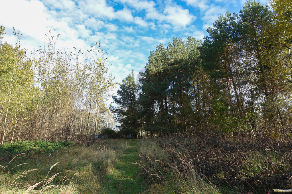 Działka na sprzedaż Grzepnica 3 069 m2 | Arka Nieruchomości
