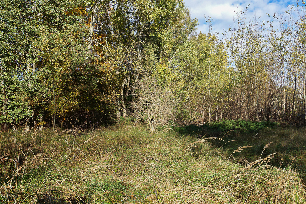 Działka na sprzedaż Grzepnica 3 069 m2 | Arka Nieruchomości