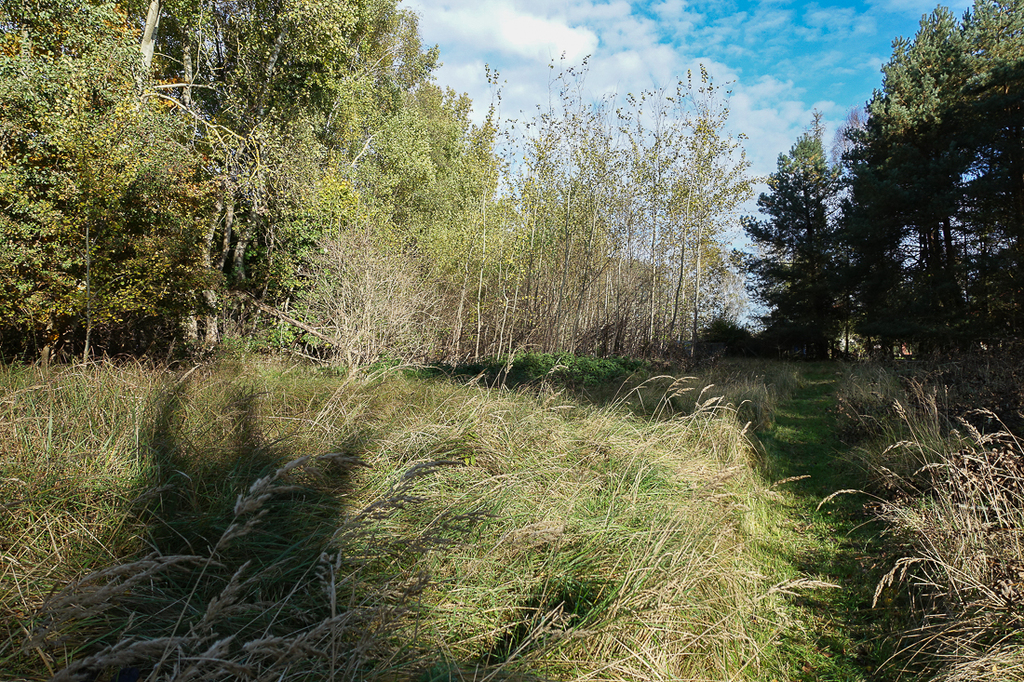 Działka na sprzedaż Grzepnica 3 069 m2 | Arka Nieruchomości