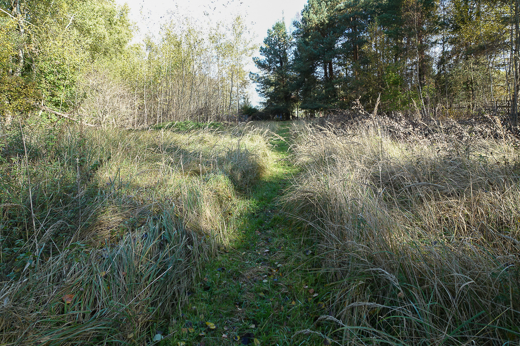 Działka na sprzedaż Grzepnica 3 069 m2 | Arka Nieruchomości