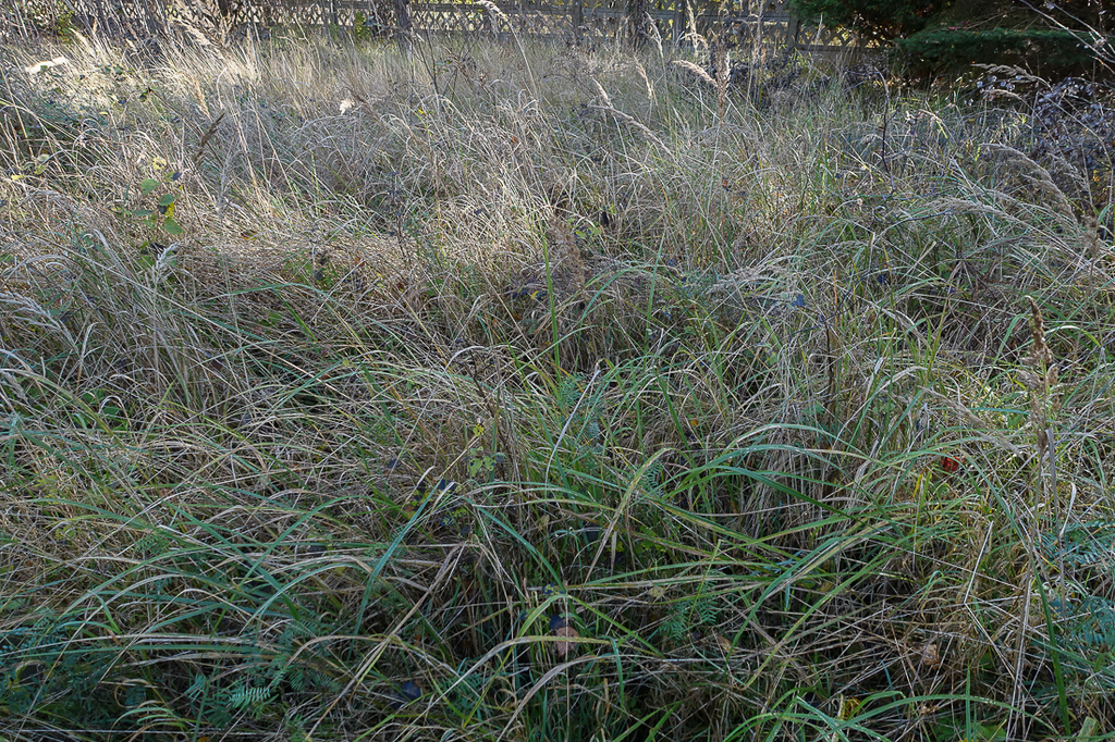 Działka na sprzedaż Grzepnica 3 069 m2 | Arka Nieruchomości