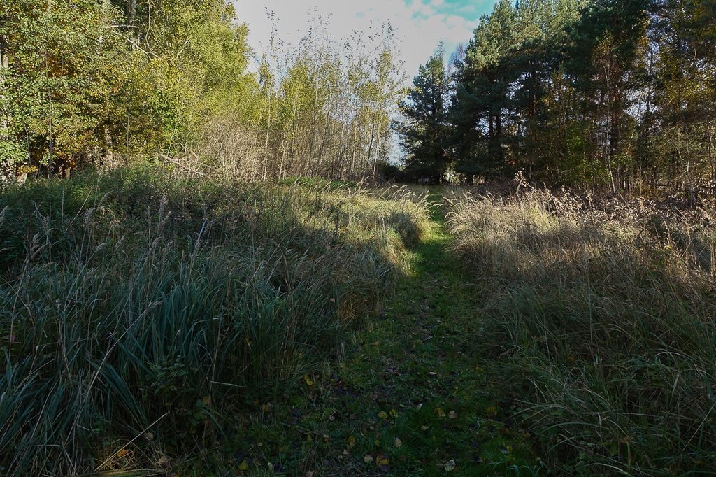 Działka na sprzedaż Grzepnica 3 069 m2 | Arka Nieruchomości