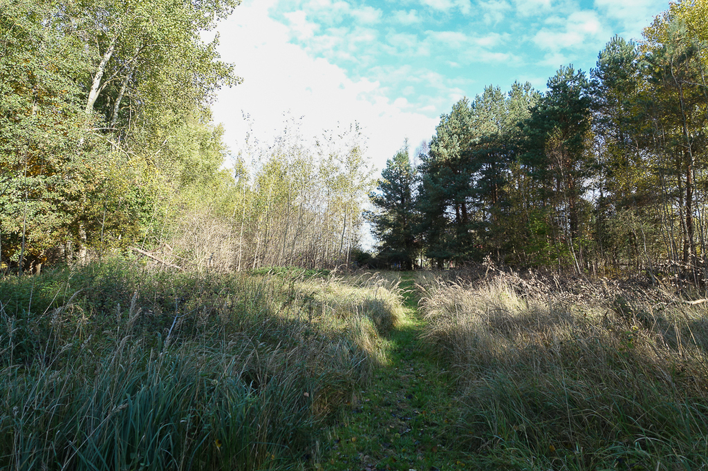 Działka na sprzedaż Grzepnica 3 069 m2 | Arka Nieruchomości